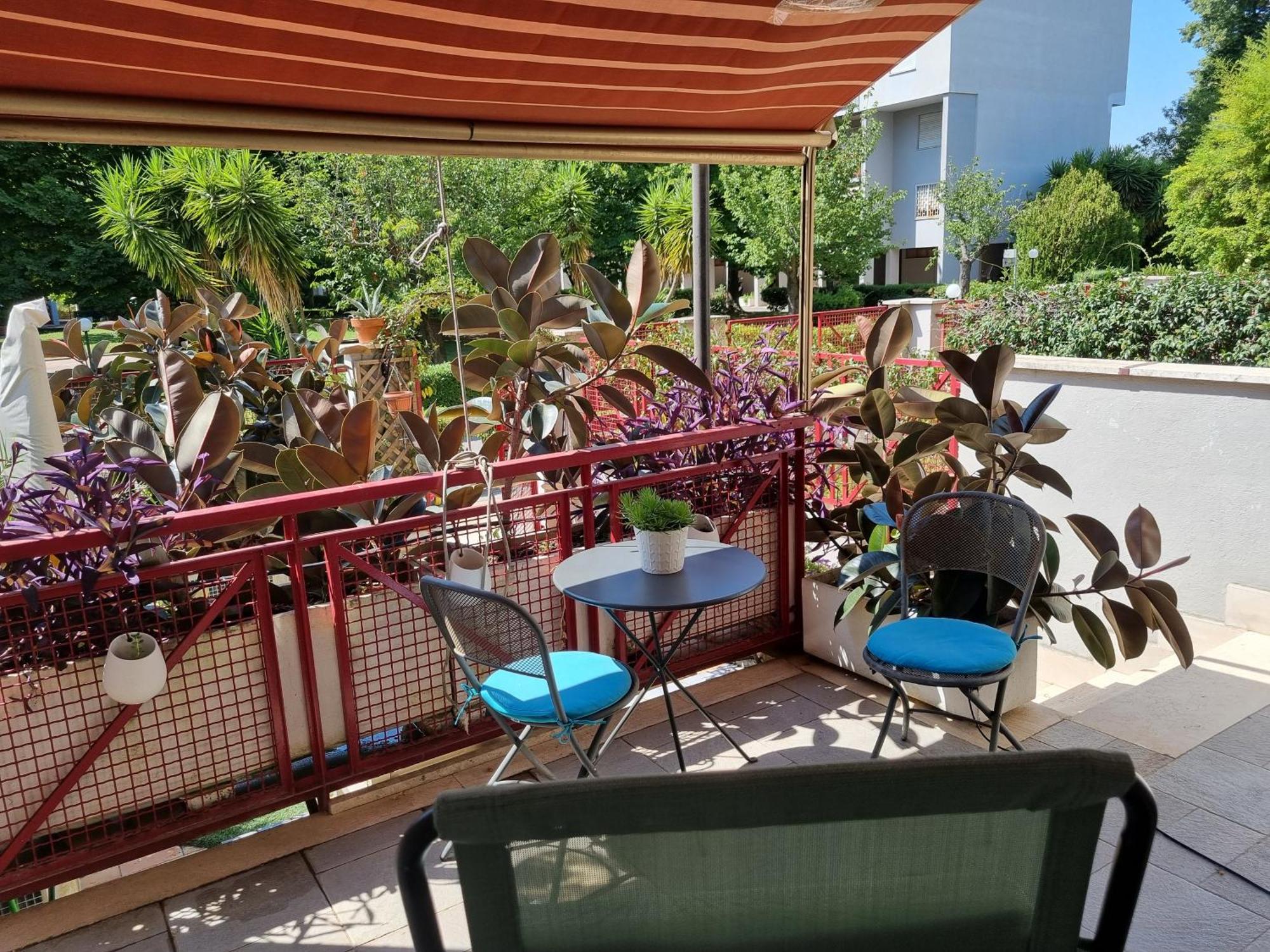 Intero Appartamento Con Giardino E Parcheggio Rzym Zewnętrze zdjęcie