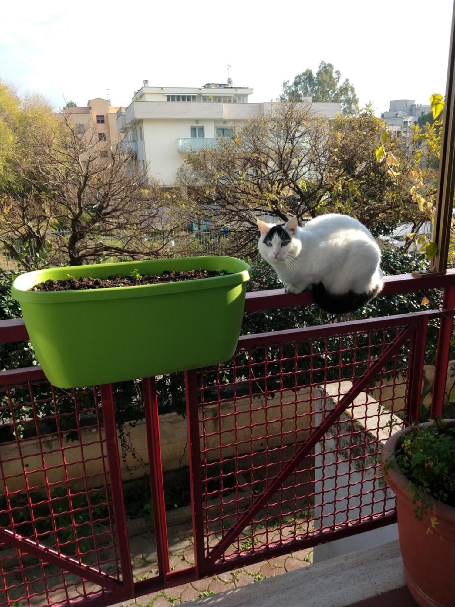 Intero Appartamento Con Giardino E Parcheggio Rzym Zewnętrze zdjęcie